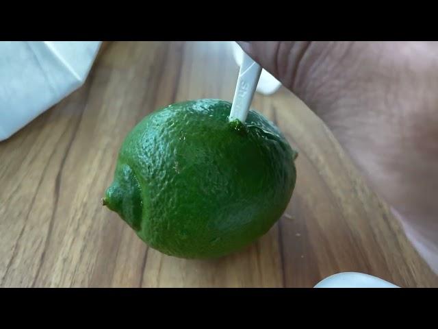 自製鮮檸氣泡飲掰掰化學味