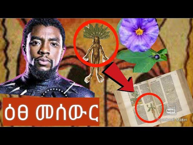 ዕፀ መሰውር (እንድናቀው የማይፈለግ)የት ይገኛል? እንዴት ይነቀላል? ሚስጥሩ/axum tube/Dr.Rodas Tadese/የኔታ ትዩብ /ኢትዮጵ ETHIOP TUBE