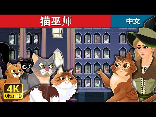 猫巫师 | Cat Witch in Chinese | Chinese Fairy Tales