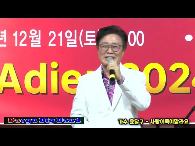 가수 윤달구   사랑이목이말라요 - 대구빅밴드  2024년 송년음악회/장소: 웨딩비엔나