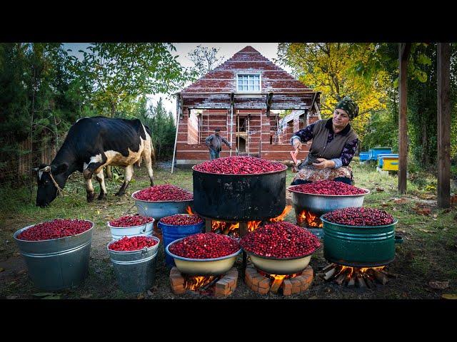 Preserving Flavor: Making Delicious Dogwood Paste