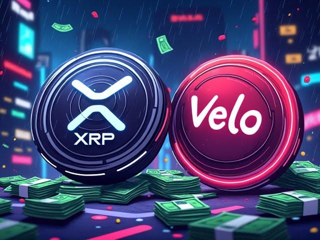 OUR TIME IS HERE! VELO + XRP  | The Deeper Dive