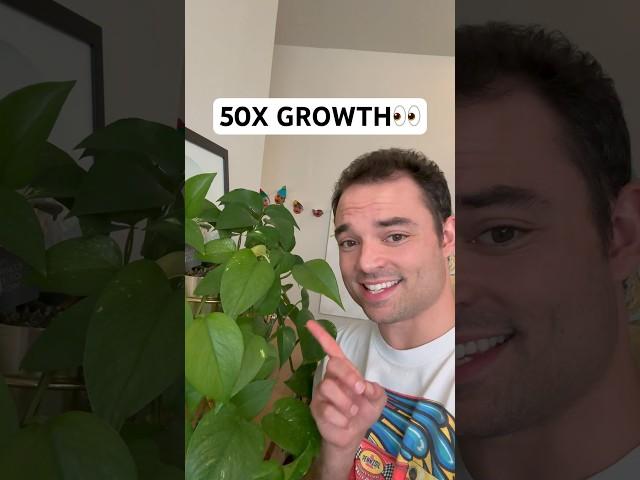 MEGA PLANT!? 🪴 