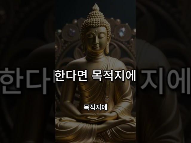 사주는 삶의 여정을 알려주는 지도 #사주 #사주팔자 #삶이힘들때