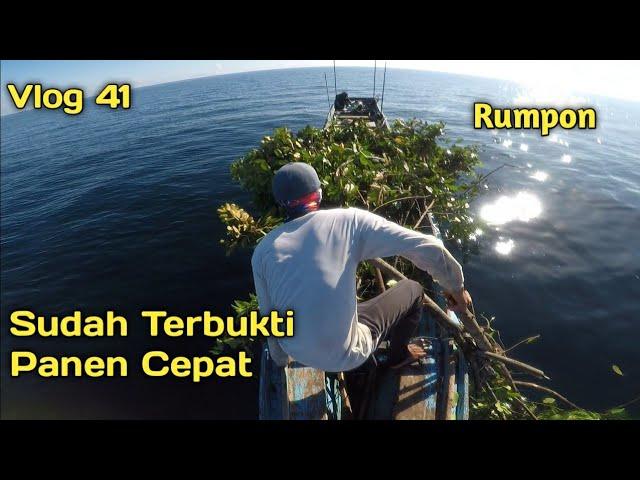 Cara Cepat Membuat Rumpon Rumah Ikan 1 Bulan Panen Kakap Merah Terbukti 100%