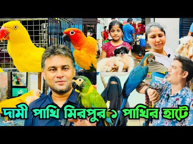 ম্যাকাও সহ দামী পাখি মিরপুর ১ পাখির হাটে | Mirpur 1 Pakhir Hat | Macaw Bird #viralvideo