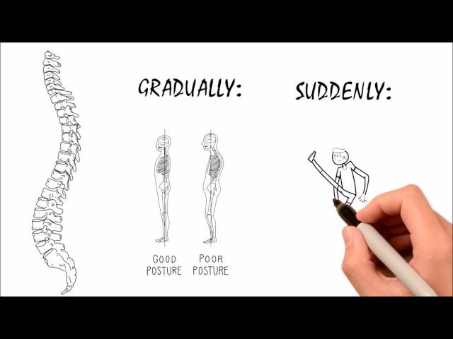 The Beginners Guide to Chiropractic