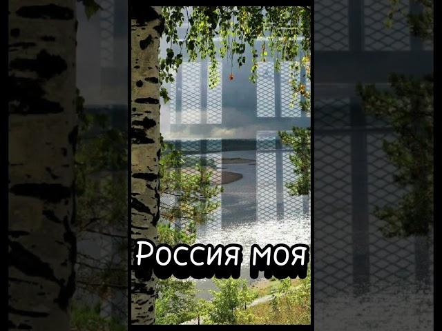 Россия моя(слова Светлана Короткова,музыка Анжелика Куприянова)#авторскаяпесня #россия #душевно