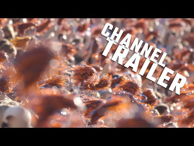 Auburn Tigers on AL.com Channel Trailer