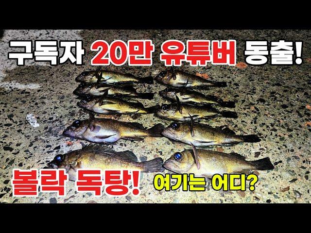 볼락낚시를 독탕에서 즐겨보자! 구독자 20만 유튜버 동출! (Feat : 사천 저도좌대, 펜션)