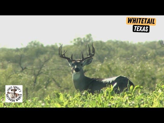 Jeff Foxworthy Takes a Monster Whitetail in South Texas