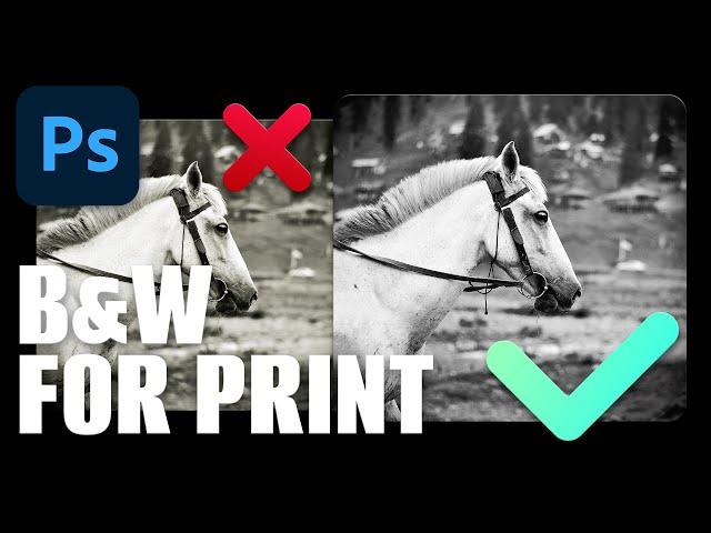 Why Your B&W Images Don't Look Rich in Print and How to Fix It