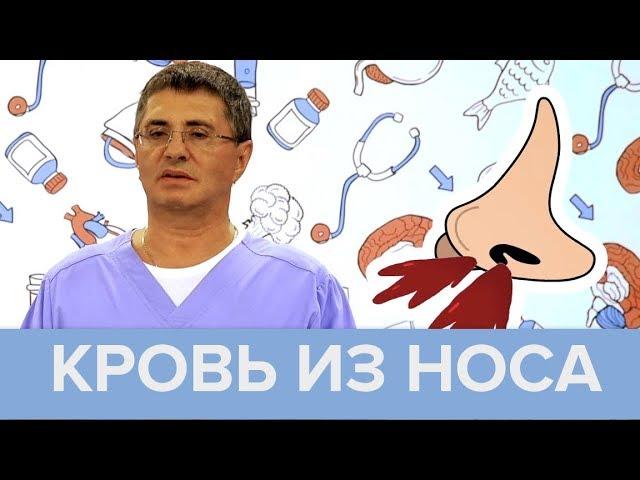 Кровь из носа: причины и правила оказания первой помощи | Доктор Мясников - Доктор 24