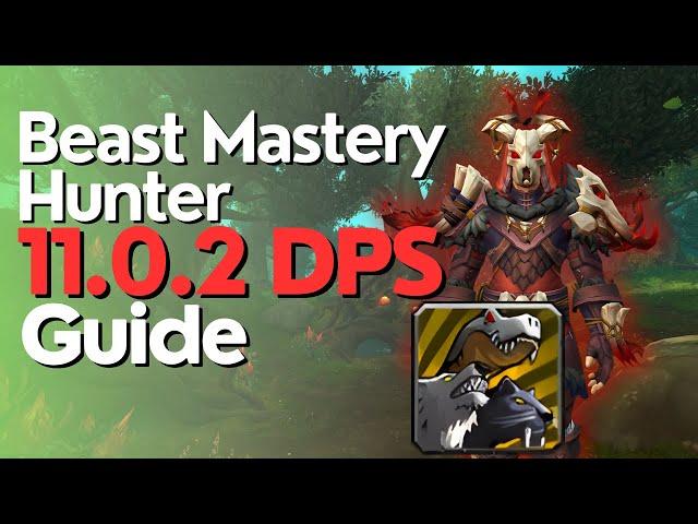 Beast Mastery Hunter The War Within Guide - Season 1 M+ & Raid