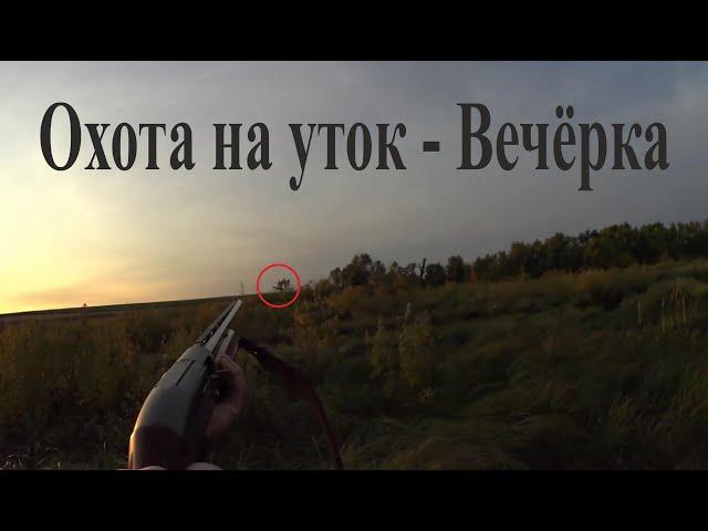 Охота на уток - Вечёрка