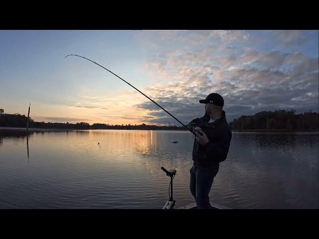 Largemouth Bass & Chain Pickerel