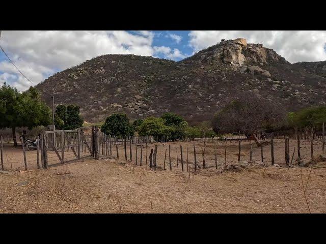 SUBINDO A SERRA DO BICO DA ARARA: DESAFIOS E MARAVILHAS NATURAIS