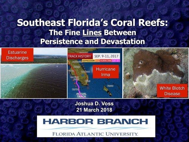 Joshua VOSS 3/21/18 Southeast Florida's Coral Reefs: The Fine Lines