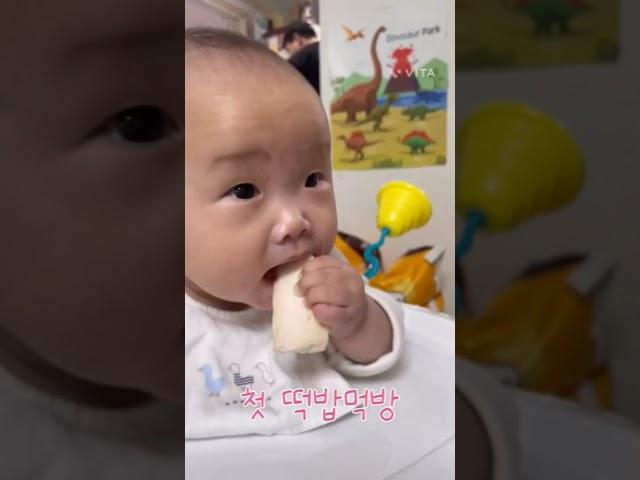 큰오빠가 찍은 생애 첫 떡벙먹기! #귀여운아기 #아기 #baby #귀여움 #기분좋아지는영상 #cute #사랑스러운 #늦둥이 #육아일기