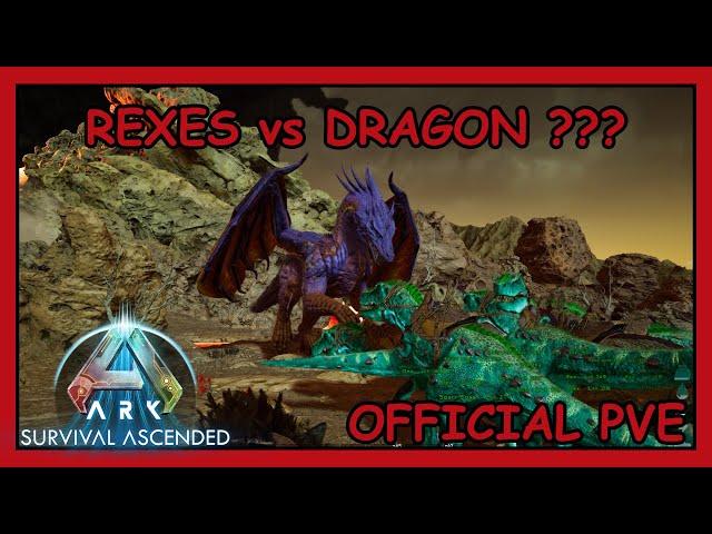 Ark Ascended | Rexes VS  Dragon | Official PVE | The Island