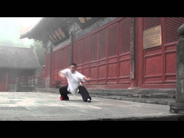 Bagua demonstration