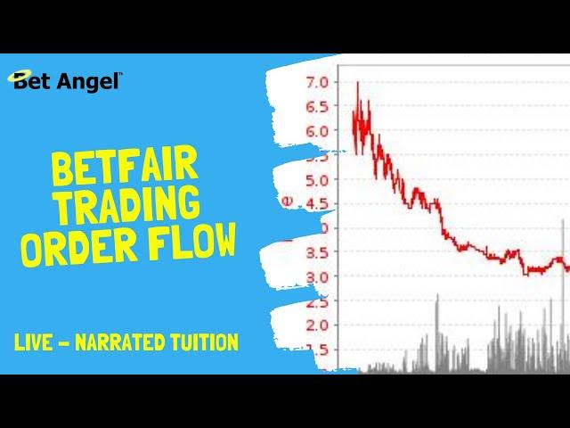 Betfair trading | How to trade order flow on pre-off Horse racing markets