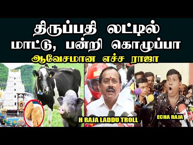 திருப்பதி லட்டில் மாட்டு, பன்றி கொழுப்பா I H RAJA LADDU TROLL #hrajatroll #tirupati #laddu #kptroll