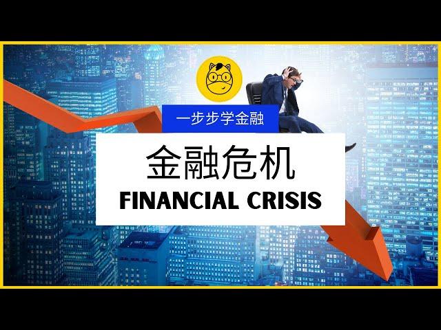 【一步步学金融】第八课 || 金融危机 Financial Crisis