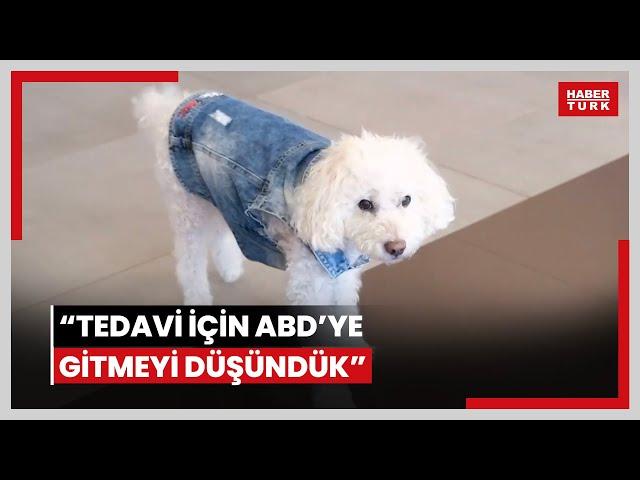 Çocuğu gibi gördüğü köpeğine kanser teşhisi konmuştu: “Tedavi için ABD’ye gitmeyi düşündük”