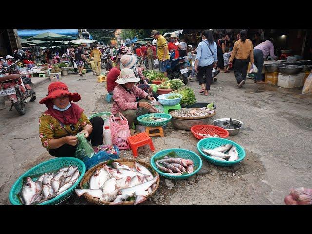 Morning Daily Activities & Lifestyle of Vendors Selling Food in Market - Phsa Kandal Street Market