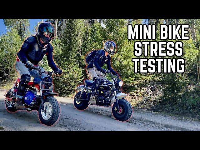 Mini Bikes vs. the Rockies | TrailMaster MB200 x Hurricane x Full Suspension Mega Moto Shootout!