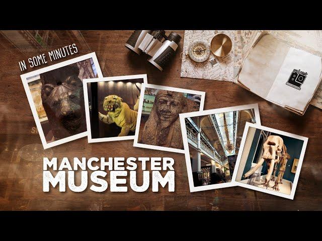 Exploring Manchester Museum: Wonders of History and Science!