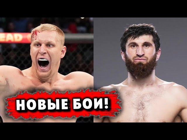 НОВЫЕ ТОП-БОИ в UFC / Анкалаев – Прохазка / НОКАУТ ГОДА! / Фьюри – Джошуа в 2025!