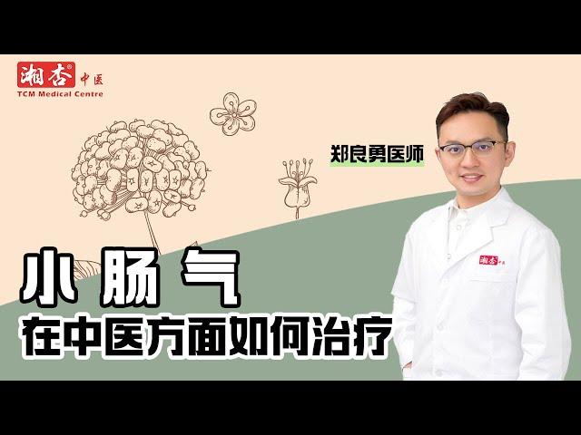 【郑良勇医师】网友问：“【小肠气在中医方面怎么治疗】会痊愈吗？｜湘杏中医