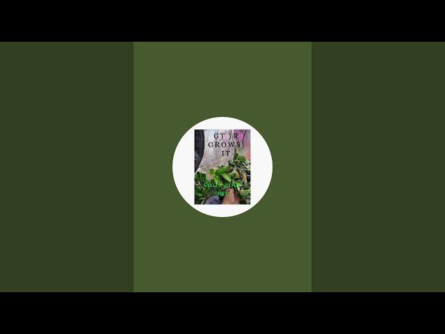 GtJr Grows It  Alaska is live!