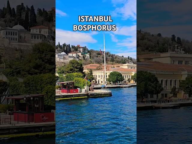 Istanbul, Bosphorus Boat Tour  #shortsvideo #travel #istanbul #tukey #youtubeshorts