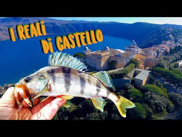 Pesca al PERSICO REALE nel lago del PAPA