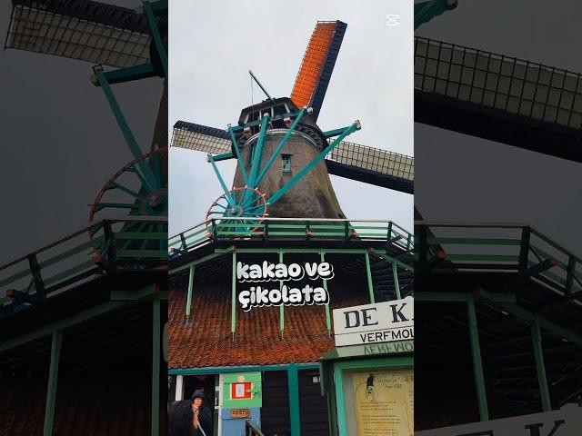 Amsterdam'da 1 Gün #travel #gezi #amsterdam #hollanda #netherlands