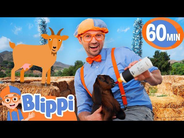 Blippi Feeds Baby Goats!  | Fun Farm Adventure for Kids | Educational Videos for Kids