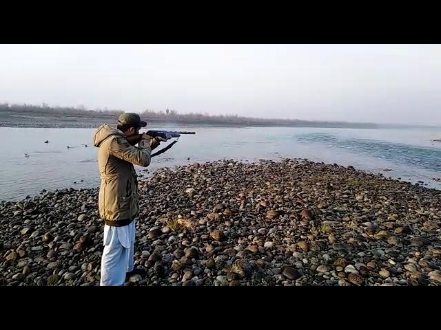 Pak made semi auto repeater 12bore