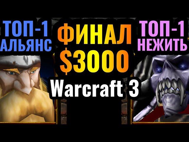 Happy vs Romantic: Новая Эра для Альянса?! Всё меняется в Warcraft 3: Финал турнира за $3000