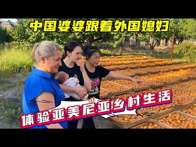 外国媳妇带中国公婆，在亚美尼亚乡村享受水果自由，婆婆乐在其中