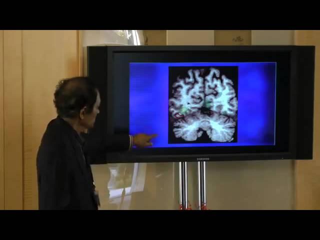Art, Reality, and the Brain  The Quest for Aesthetic Universals - Dr. V.S. Ramachandran
