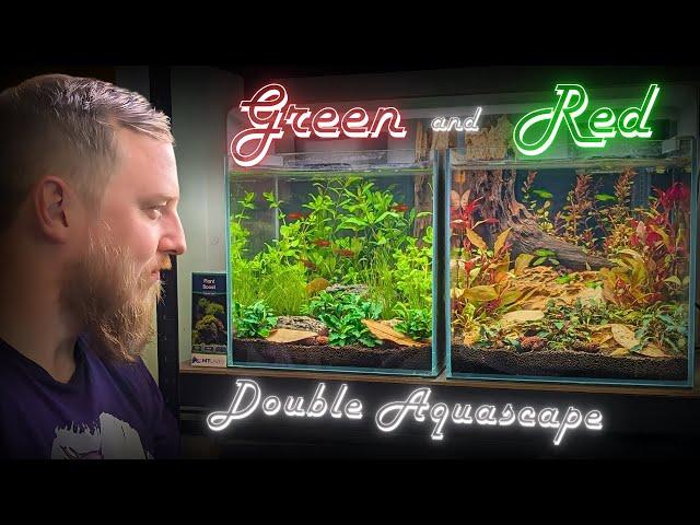 Splitting an aquascape! How I created TWO colour coordinated aquariums!