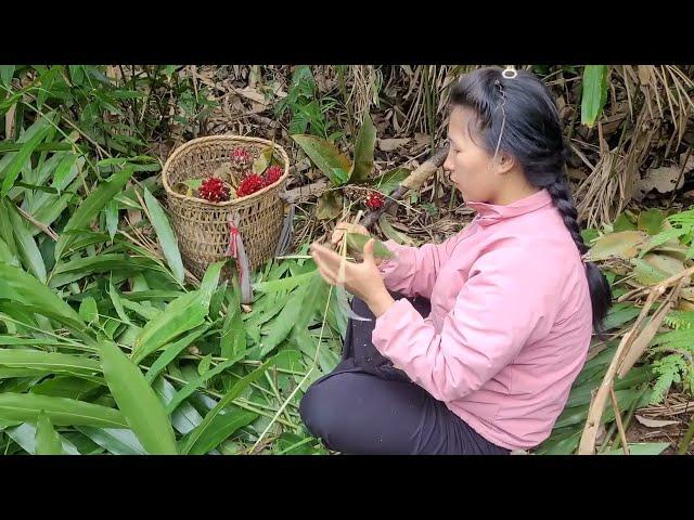 Going deep into the forest to find flowers for medicine, the woman was in danger #lytieulinh