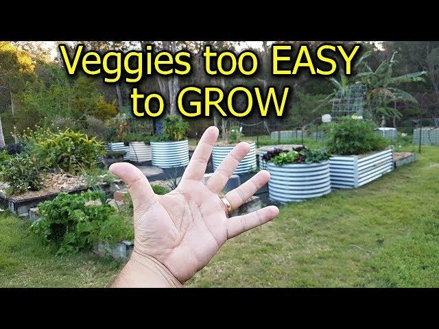 5 Vegetables that are too EASY to GROW in the Garden