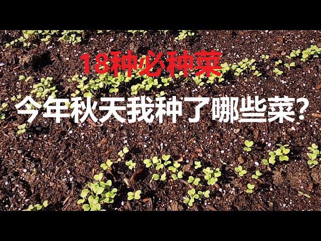 今年秋天我种了哪些菜？18种家庭必种菜