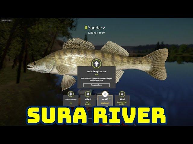 Zander 5kg+ SURA  RIVER | Russian Fishing 4