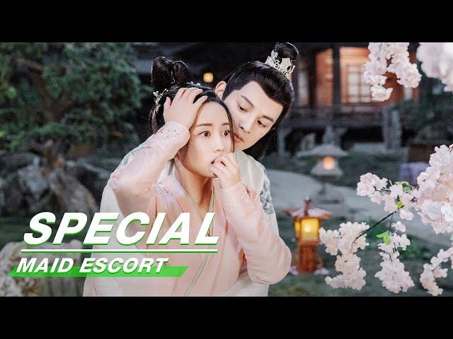 Special: Wang Runze & Jade Cheng's Love Story | Maid Escort | 这丫环我用不起 | iQiyi