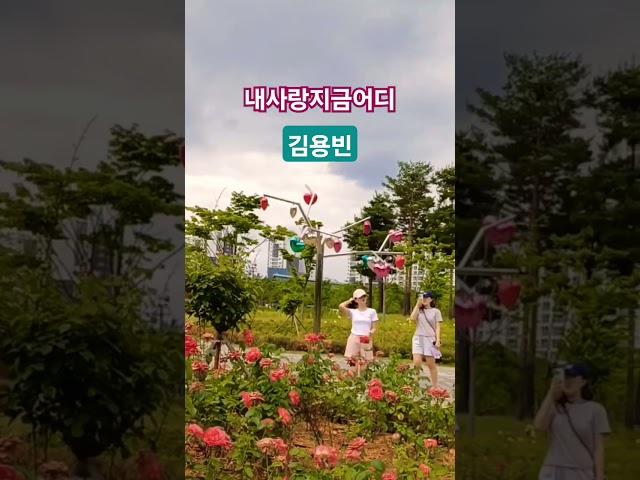 내사랑지금어디 #김용빈 구독&좋아요 #스타일스타 #shorts